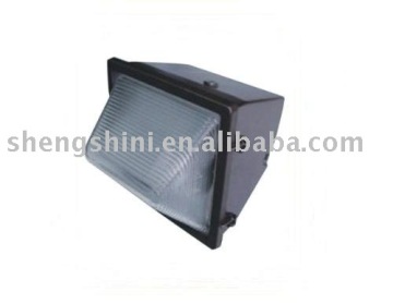 Tunnel lighting with electrodeless lamp