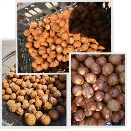 Green Walnut Peeler Sheller Machine - Fresh Walnut Peeling and Cleaning Machine