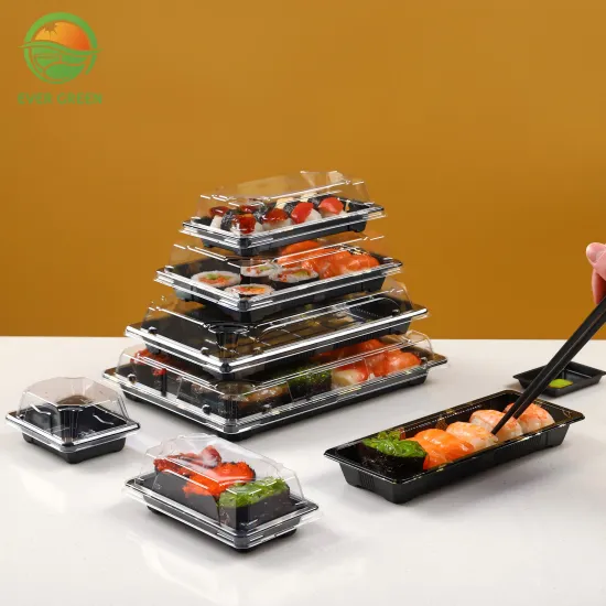 Sashimi and Sushi Takeaway Container With Clear Lids