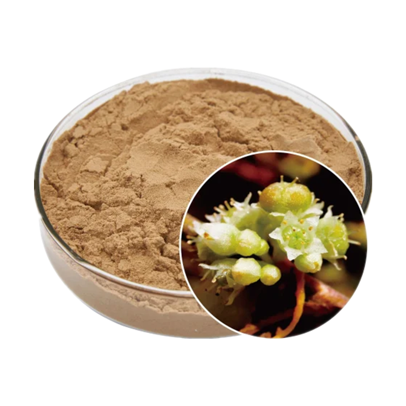 Water Soluble Dodder Seed Extract