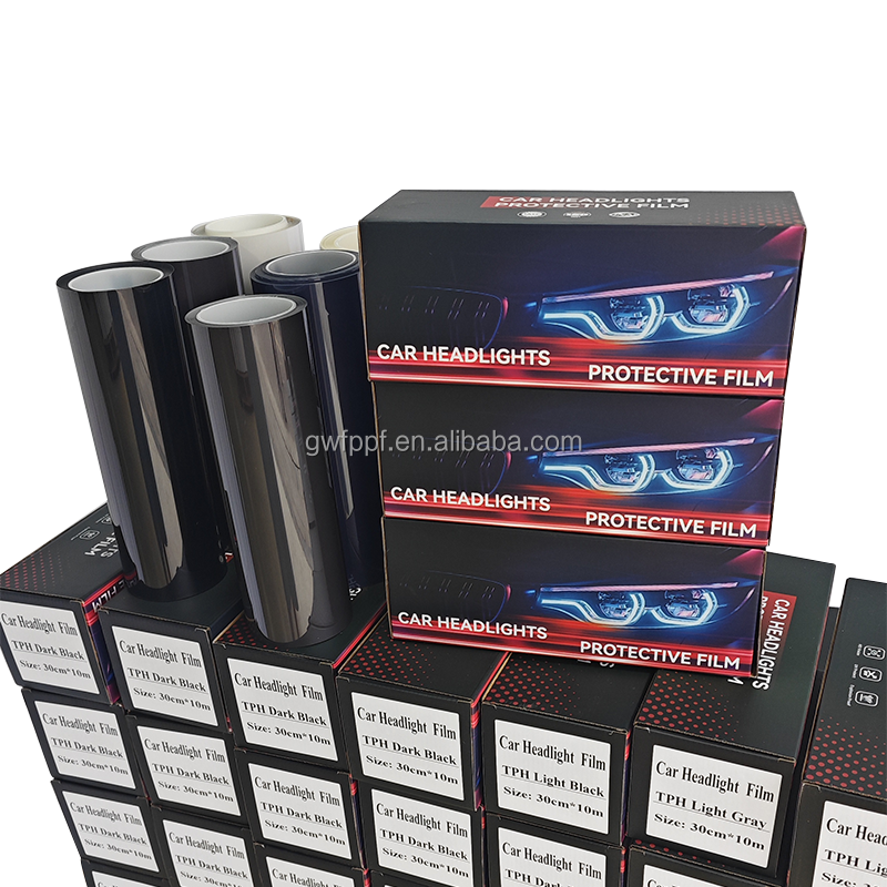 Dodge Charger Furlight Tint