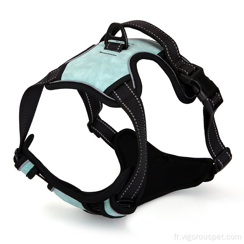 Big Dog Outdoor Training Harness Hunting Dog Dogness