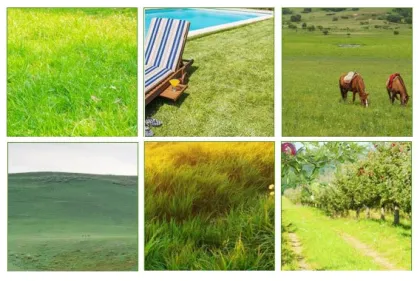 Advanced Smart Robot Weeder: Orchard, Swift, Orbit, Portable, Remote Control Technology