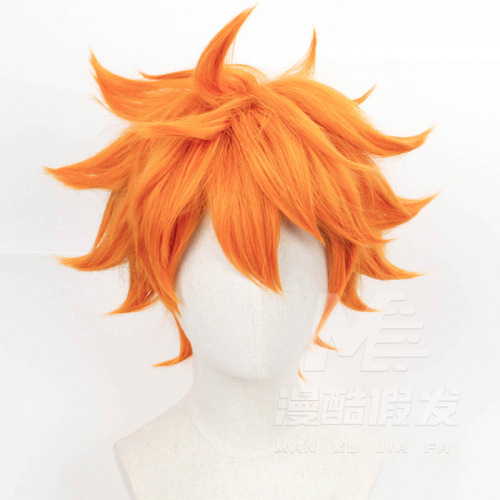 Haikyuu Hinata Shoyo Cos Wig 2
