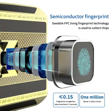 High-Tech Anti-Theft Family Safe for Gold and Money