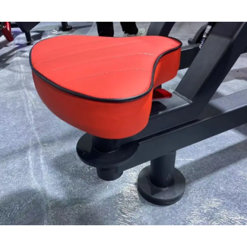 Full Training Indoor Gym Full-up Back Machine