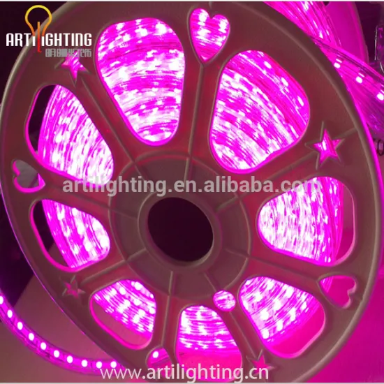 2016 color changing rgb SMD5050 220V led light strip with CE RoHS