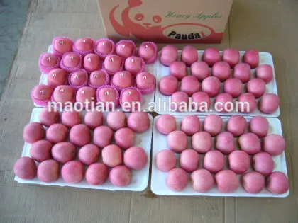 Best Price Fresh Fuji Apple