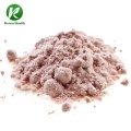 Natural Plant whey protein powder