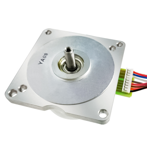 BLDC 30W Motor | High Torque BLDC Motor | 30W BLDC Motor