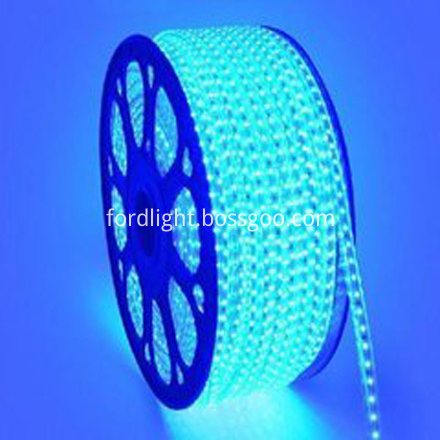 AC110V SMD5050 Led Strip Light
