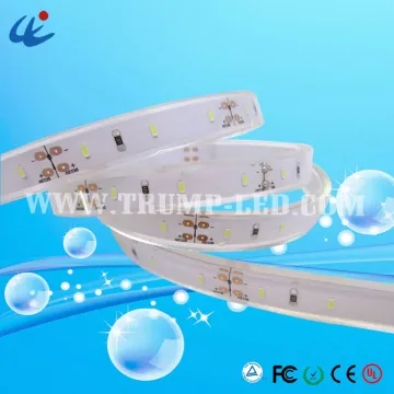 12V Battery Powered LED Strip Waterproof PU IP68