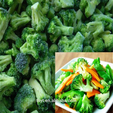 healthy vegetable and fruit iqf frozen broccoli floret,iqf broccoli floret,frozen broccoli cut