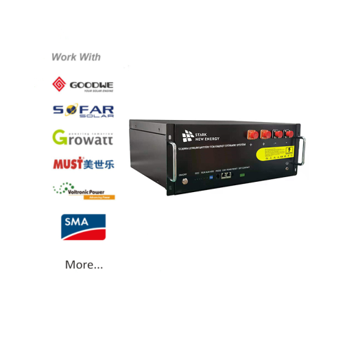 Baterai Lithium Ion 24V 100Ah Lifepo4 Paket Baterai