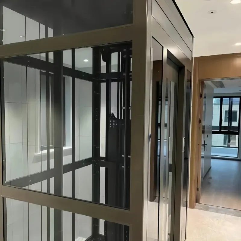 Small Home Lift Traction Elevator Price for Residential Villa