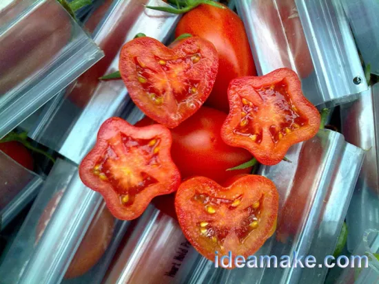 Six Point Star Plastic Veggie Mold BPA Free, UV protected, food safe and reusable