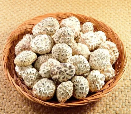 Fresh Cultivated King Flower Shiitake Mushroom
