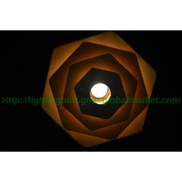 modern wooden pendant lamp/out space lightings