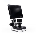 Karu microscope capillary toto noninvasive