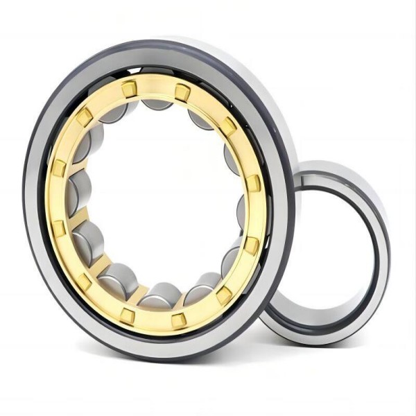 Bearing cage PEEK1