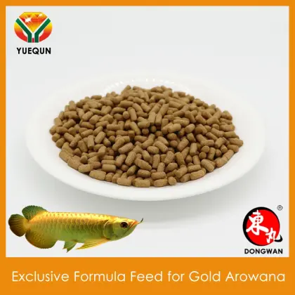 Feed Aquarium Fish Food Compound feed for Gold Arowana