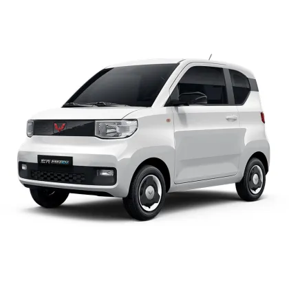 Wuling Mini Ev 120KM High Speed Car Search