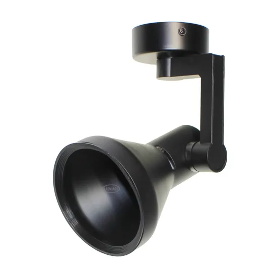 LEDEAST TCC PAR30 Surface-Mounted Light Fixture