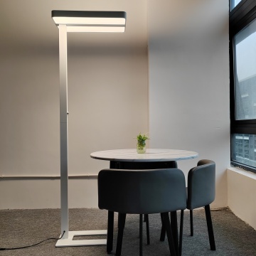 Full Spectrum Portable Floor Standing Lamp with CE RoHS Certification