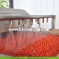 Wholesale Nutrition Dried Raw Organic Goji Berries