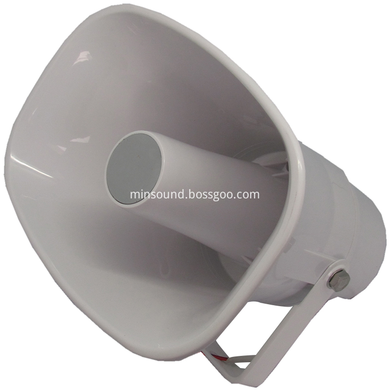 Speaker 