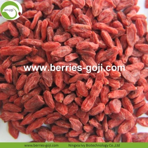 Factory Buy Dried Natural Wolfberries