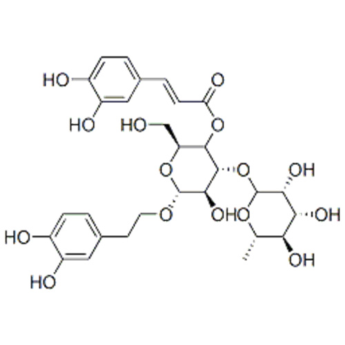 Verbascosid CAS 61276-17-3