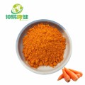 Polvo de jugo de extracto de zanahoria