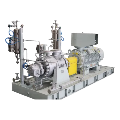 Search Engine Title: NGL Reinjection Pump for Gazprom GPP Project: Optimizing Light Hydrocarbon Handling