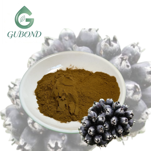 Порошок экстракта сибирского женьшеня для пищевых добавок