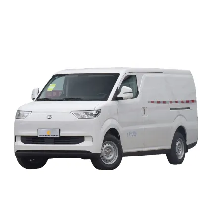 RUICHI RICH EC75 FWD Electric Van - 2 Seats Pure Electric Cargo Van by DFSK
