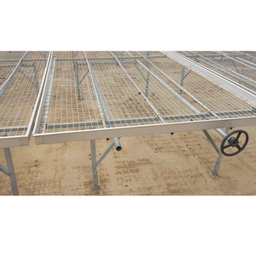 Banc à roulettes pour semences de serres de Skyplant Agriculture