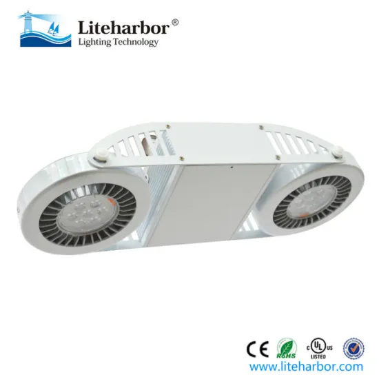 LED track lighting fixtures Two head with AR111 COB spot light