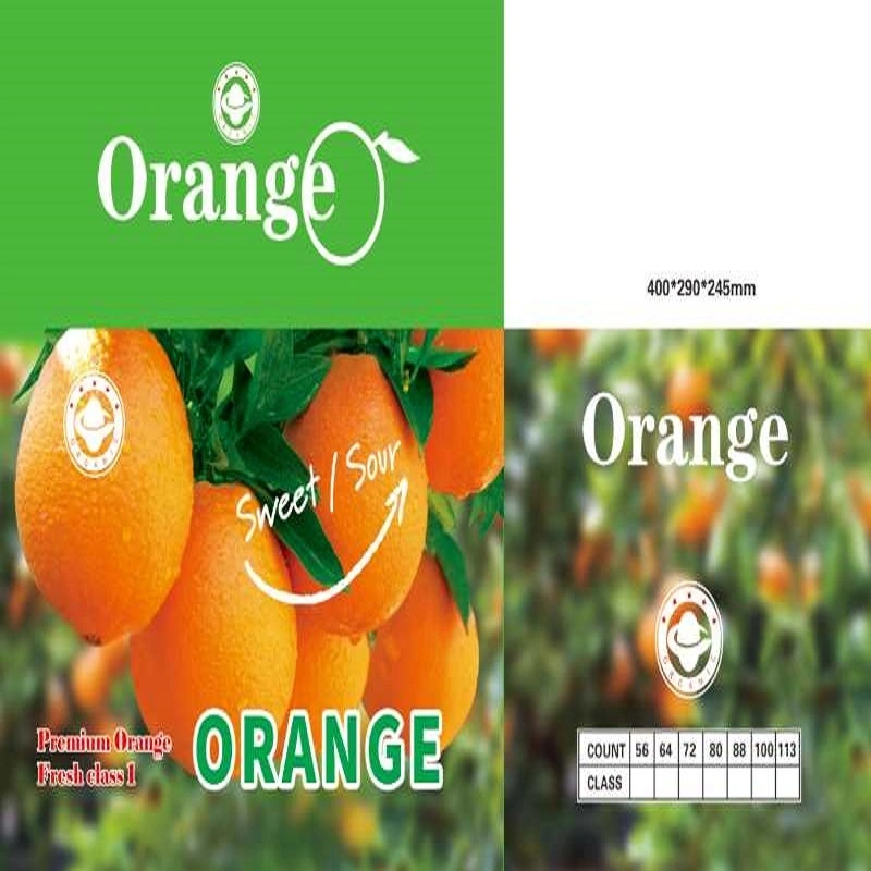 Mandarin Fruit Products - Manufacturer and Supplier