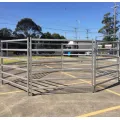 Australia Cattle Farm Equipment Rails cerca de los paneles de ganado