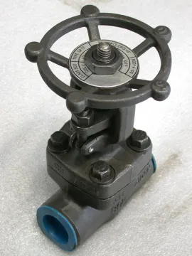 API 602 Forged Steel Gate Valve