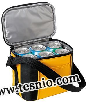 Clear PVC Cooler Bag (Tesnio-CB1009)