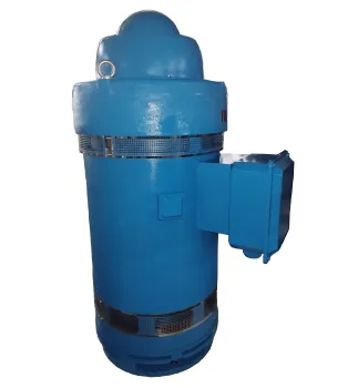 Vertical Hollow Shaft NEMA Standard Motors for American Industry