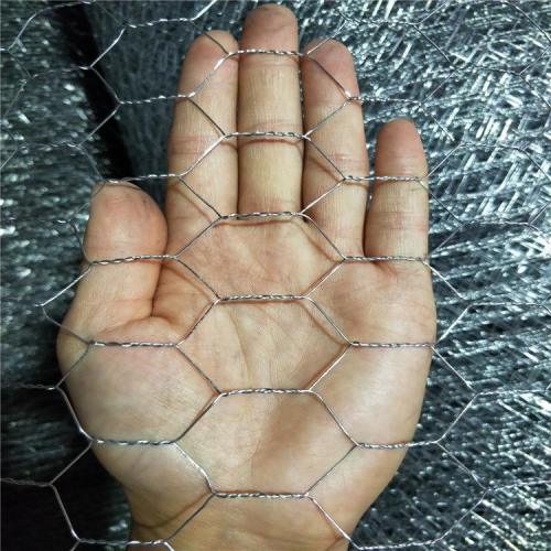 Hot-dipped Galvanized Wire Netting Hexagonal Wire Netting - Weave before Hot-dipped Galvanized Supplier