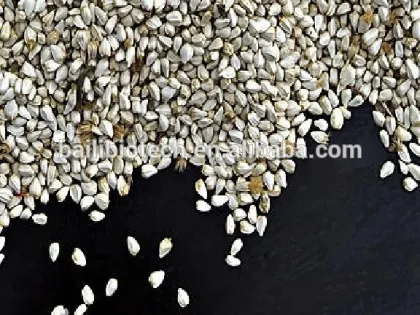 Organic Safflower Seed Oil