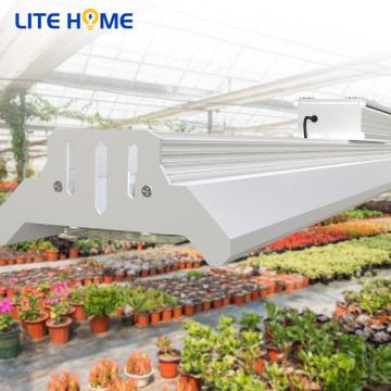 240W 4ft Lumières pour les plantes