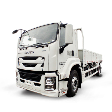 Unused 10 Tons FTR 4x2 Cargo Truck for Sale at China Isuzu Factory