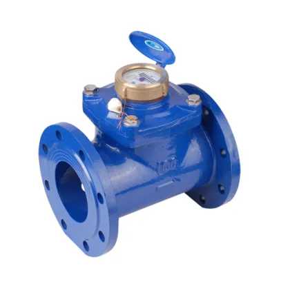 DN100 Bulk flow water meter