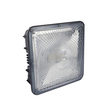 Best Price Led Canopy Lights in USA