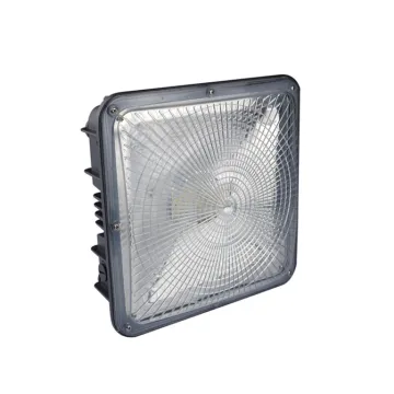 Best Price Led Canopy Lights in USA